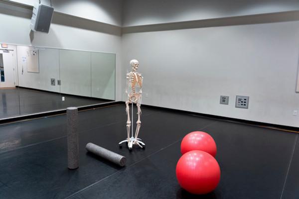 skeleton, exercise balls, and foam roller in dance studio